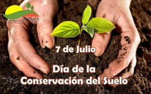 suelo