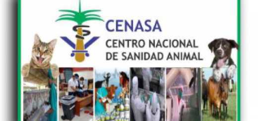 censa