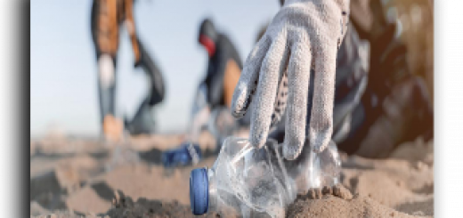 cleaning_crew_of_plastic_in_the_beach