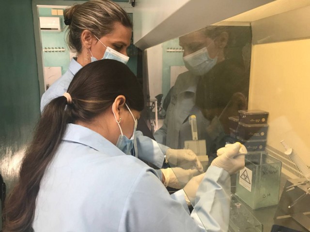 PCR cubano para detección del SARS-CoV-2: Apuesta del Centro de Inmunoensayo por el desarrollo de la biología molecular